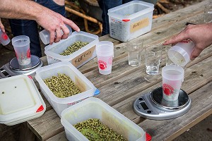 ATELIER DE BRASSAGE, LA MONTREUILLOISE, BIERE ARTISANALE 