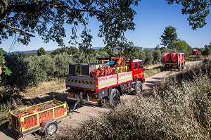 SAPEURS POMPIERS, DETACHEMENT D'INTERVENTIONS HELIPORTES FEU DE FORET 