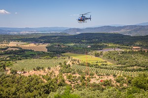 SAPEURS POMPIERS, DETACHEMENT D'INTERVENTIONS HELIPORTES FEU DE FORET 