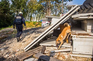 SAPEURS POMPIERS, SAUVETAGE DEBLAIEMENT 