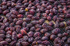 ILLUSTRATION PRUNEAUX D'AGEN 