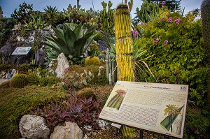 LA ROUTE DU PARFUM, (06) ALPES MARITIMES, PROVENCE ALPES COTE D'AZUR, FRANCE 