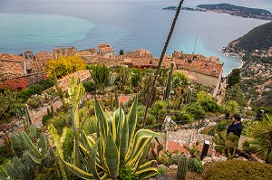 LA ROUTE DU PARFUM, (06) ALPES MARITIMES, PROVENCE ALPES COTE D'AZUR, FRANCE 