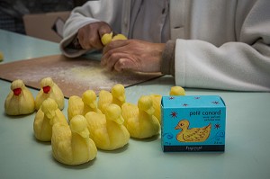 LA ROUTE DU PARFUM, (06) ALPES MARITIMES, PROVENCE ALPES COTE D'AZUR, FRANCE 