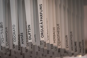 LA ROUTE DU PARFUM, (06) ALPES MARITIMES, PROVENCE ALPES COTE D'AZUR, FRANCE 