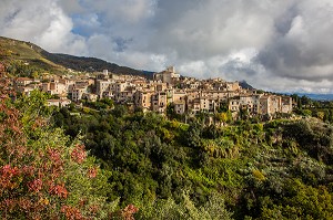 LA ROUTE DU PARFUM, (06) ALPES MARITIMES, PROVENCE ALPES COTE D'AZUR, FRANCE 