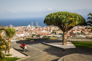 SANTA CRUZ DE TENERIFE, ILE DE TENERIFE, ILES CANARIES, ESPAGNE 