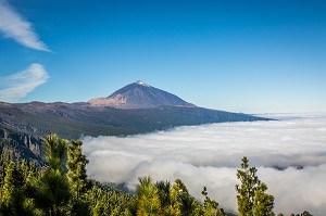 ILE DE TENERIFE, ILES CANARIES, ESPAGNE 