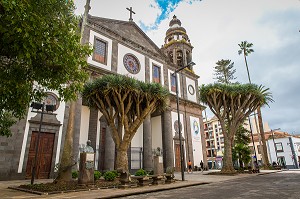 ILE DE TENERIFE, ILES CANARIES ESPAGNE 