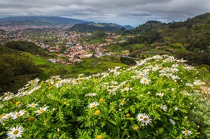 ILE DE TENERIFE, ILES CANARIES ESPAGNE 