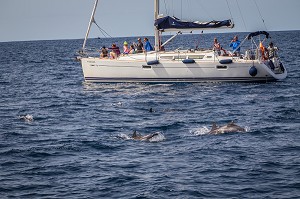 ILE DE TENERIFE, ILES CANARIES, ESPAGNE 