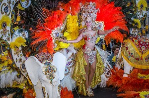 CARNAVAL DE SANTA CRUZ DE TENERIFE, ILE DE TENERIFE, ILES CANARIES, ESPAGNE 