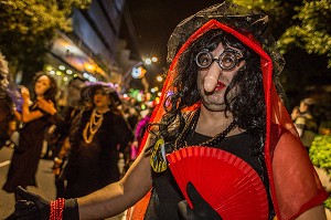 CARNAVAL DE SANTA CRUZ DE TENERIFE, ILE DE TENERIFE, ILES CANARIES, ESPAGNE 