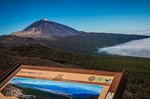 ILE DE TENERIFE, ILES CANARIES, ESPAGNE 
