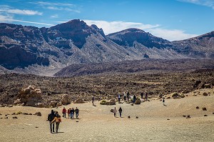 ILE DE TENERIFE, ILES CANARIES, ESPAGNE 