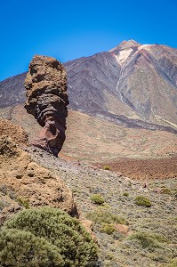 ILE DE TENERIFE, ILES CANARIES, ESPAGNE 