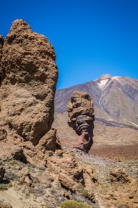 ILE DE TENERIFE, ILES CANARIES, ESPAGNE 
