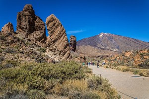 ILE DE TENERIFE, ILES CANARIES, ESPAGNE 