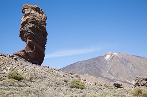 ILE DE TENERIFE, ILES CANARIES, ESPAGNE 