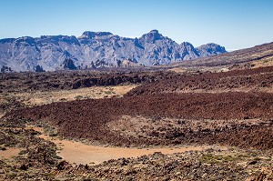 ILE DE TENERIFE, ILES CANARIES, ESPAGNE 
