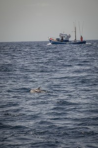 ILE DE TENERIFE, ILES CANARIES, ESPAGNE 