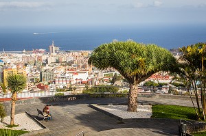 SANTA CRUZ DE TENERIFE, ILE DE TENERIFE, ILES CANARIES, ESPAGNE 