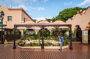 SANTA CRUZ DE TENERIFE, ILE DE TENERIFE, ILES CANARIES, ESPAGNE 