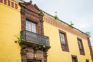 ILE DE TENERIFE, ILES CANARIES, ESPAGNE 