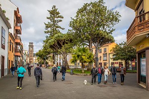 ILE DE TENERIFE, ILES CANARIES, ESPAGNE 