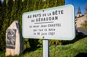 LA BETE DU GEVAUDAN, (43), HAUTE LOIRE, REGION AUVERGNE RHONE ALPES, FRANCE 