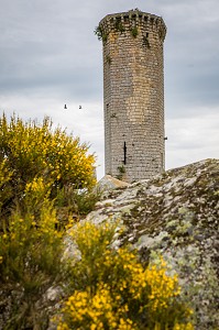 LA BETE DU GEVAUDAN, (43), HAUTE LOIRE, REGION AUVERGNE RHONE ALPES, FRANCE 