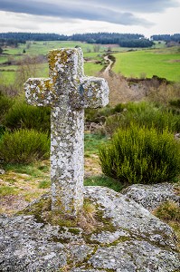 LA BETE DU GEVAUDAN, (43), HAUTE LOIRE, REGION AUVERGNE RHONE ALPES, FRANCE 