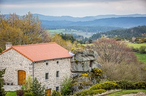 LA BETE DU GEVAUDAN, (43), HAUTE LOIRE, REGION AUVERGNE RHONE ALPES, FRANCE 