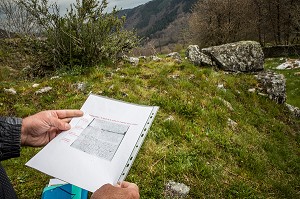 LA BETE DU GEVAUDAN, (43), HAUTE LOIRE, REGION AUVERGNE RHONE ALPES, FRANCE 