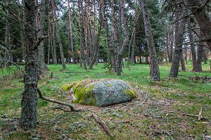 LA BETE DU GEVAUDAN, (43), HAUTE LOIRE, REGION AUVERGNE RHONE ALPES, FRANCE 