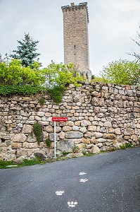 LA BETE DU GEVAUDAN, (48), LOZERE, REGION OCCITANIE, FRANCE 