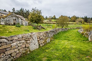 LA BETE DU GEVAUDAN, (48), LOZERE, REGION OCCITANIE, FRANCE 