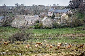 LA BETE DU GEVAUDAN, (48), LOZERE, REGION OCCITANIE, FRANCE 