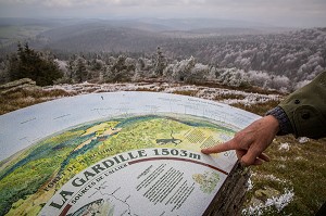 LA BETE DU GEVAUDAN, (48), LOZERE, REGION OCCITANIE, FRANCE 