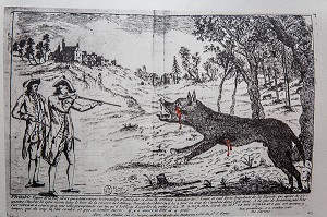 GRAVURE BETE DU GEVAUDAN 