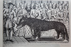 GRAVURE BETE DU GEVAUDAN 