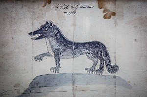 GRAVURE BETE DU GEVAUDAN 