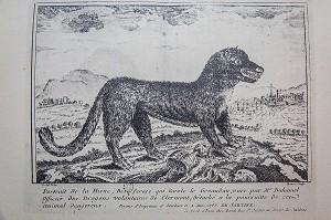 LA BETE DU GEVAUDAN, (43), HAUTE LOIRE, REGION AUVERGNE RHONE ALPES, FRANCE 