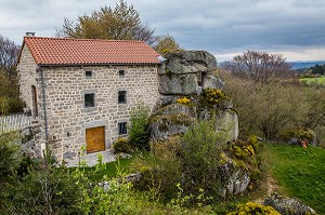 LA BETE DU GEVAUDAN, (43), HAUTE LOIRE, REGION AUVERGNE RHONE ALPES, FRANCE 