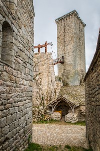 LA BETE DU GEVAUDAN, (48), LOZERE, REGION OCCITANIE, FRANCE 