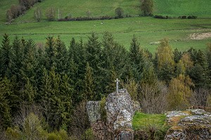 LA BETE DU GEVAUDAN, (48), LOZERE, REGION OCCITANIE, FRANCE 