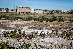 MEMORIAL DU CAMP DE RIVESALTES 