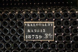 ILLUSTRATION VIN, FRANCE 