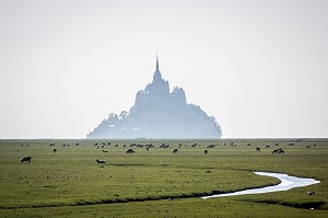 MONT SAINT MICHEL, (50) MANCHE, BASSE NORMANDIE, FRANCE 