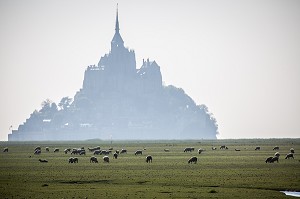 MONT SAINT MICHEL, (50) MANCHE, BASSE NORMANDIE, FRANCE 